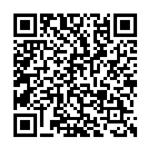 有几分害羞也有几分激动的将脸朝苏林凑了过去二维码生成