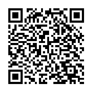 有几分滑稽的紧张感――正是林若溪与杨辰当初领证时拍的合影二维码生成