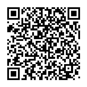 有和你在擂台上打一架的时间不如回去和我喜欢的女人在床上打一架二维码生成