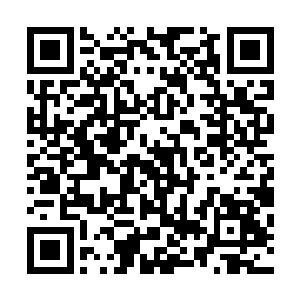有妖圣传人小狐狸的实质消息或其他有用线索时才转接给我二维码生成