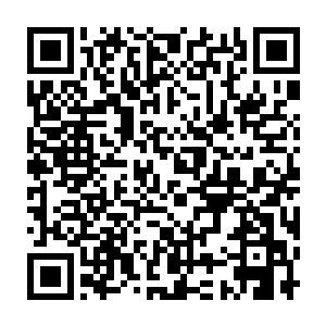 有姨母的支持我才能在顾家立足……那些看不起咱们的就随他们去吧二维码生成