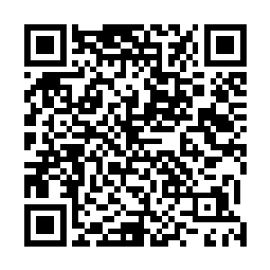 有很多人对寒家二小姐能攀上淮南王府充满了羡慕嫉妒恨二维码生成