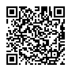 有很大几率会被这三个在大龙圈外侧不断走位的家伙给挡掉二维码生成