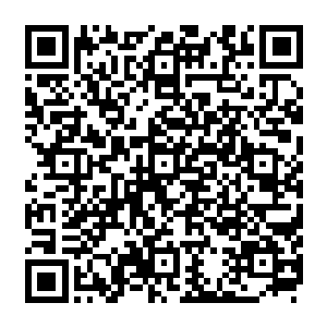 有心巴结皇上和荣郡王的官员已经在他们犹豫的时候上前顺着皇帝的口夸了一下这布置二维码生成