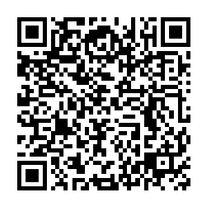 有时候又觉得你愚蠢如猪――你难道还没看清楚我们手里握的是什么吗二维码生成