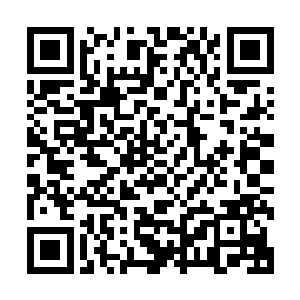 有条不紊的为四名代表着华夏星文明的代表开始采集生物样本二维码生成