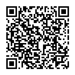 有样学样的跟着威廉姆侯爵后面飞出了这个让他们恨之入骨的该死的地下停车场二维码生成