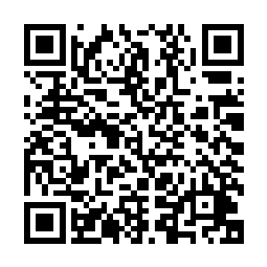 有的人将让他们无比美好的前程留下一层终身无法抹去的阴影二维码生成