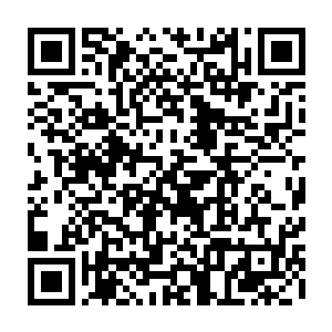 有的人还会人为的刻意加重这种倾向――在全部经费都由国家负担的时代二维码生成