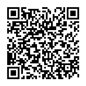 有眼尖的甚至能够看到不远处还有条蟒蛇潜伏在树上缓缓移动……二维码生成