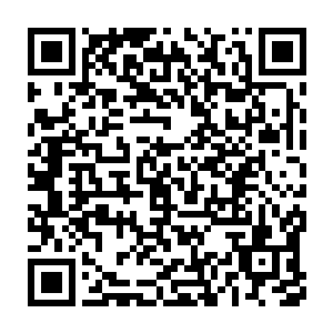 有着一双巨大而宽厚的脚掌--这脚掌方便它们在厚厚的雪上行走奔跑二维码生成