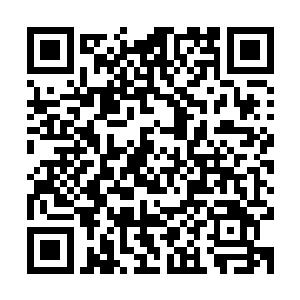 有着生生不息的韵味――这种强烈的反差瞬间化成了血肉的漩涡二维码生成