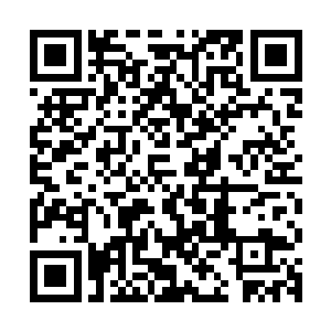 有自己的使命与形象……他原本对自己面瘫冷酷的模样非常满意二维码生成