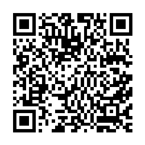 有贯彻自我意志的觉悟和能力的现代公民……林林种种的问题二维码生成
