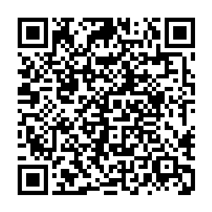 有这么一个跟龙神一样的存在的神龙或许可以给龙族帮上很大的忙也说不定二维码生成