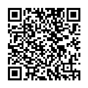 有部分人已经因为害怕而放弃了他们的家族所在地二维码生成