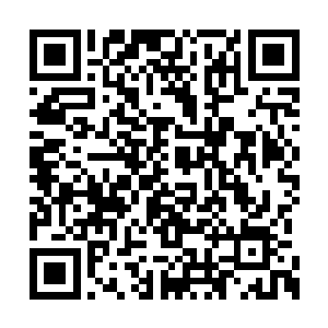 有钱能使鬼推磨 在佣兵界被诠释的十分的完美二维码生成