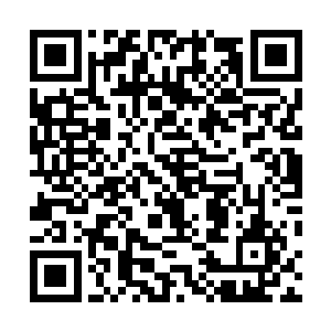服务员很快送来满满一桶虾蟹和半桶碎肉搁在我房间门口二维码生成