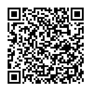 服的张铁在绘声绘色故作滑稽的说起生存试炼中的种种趣事来的时候二维码生成