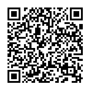 朕去亲自会一会这位传说中智近乎妖的南宫二少和传说中的半步神级炼药师二维码生成