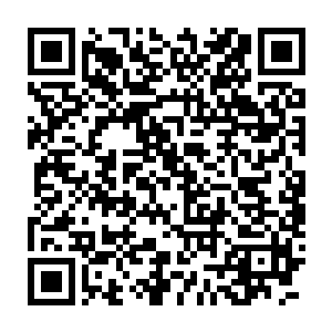 望仙城内的修士惊愕地发现呼延家主和李家主又匆匆地离开了望仙城二维码生成