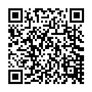 朝廷上张顾在内几大党派对南疆政务不约而同持有赞赏态度二维码生成