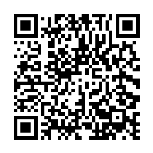 朝旁边一块长满了藤蔓和苔藓的巨大山石狠狠撞了过去二维码生成
