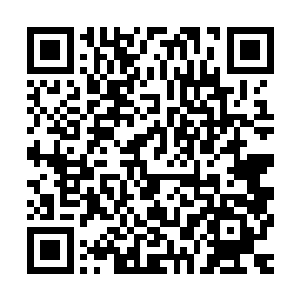 期间听得东门处不断响起的剧烈厮杀声以及巨wu撞击的轰鸣声二维码生成