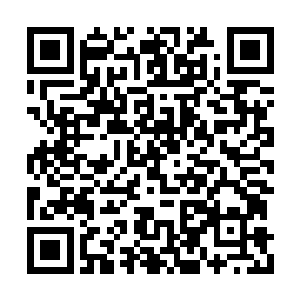期间时不时的用枪瞄观察一下幽灵的位置和距离二维码生成