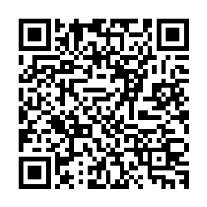 木夫人和何氏就都开始张罗着给四少爷卫桦和五少爷卫杨说亲了二维码生成