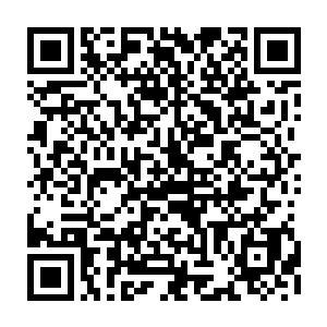 木岩性格温和 抬手一挥 顿时将水天散发的威压卸去 温和的看着张韩飞道二维码生成