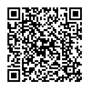 木萦完全想象不到它竟然会是一个法器而不是一朵仿佛有生命的花朵二维码生成