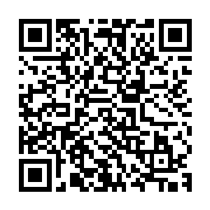 木萦就觉得自己脑海中多了一些对这件法器的介绍和使用说明书二维码生成