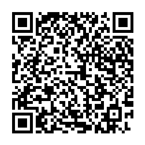 木萦打算用灵气将已经去除过杂质的材料和刚放进去的灵草相隔开二维码生成