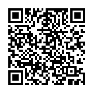 木萦担心攻击和防御都不行的斑点会被一会儿的乱战给伤到二维码生成