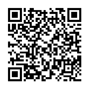 木萦现在出门已经习惯性的用起了神识关注周围的情况二维码生成