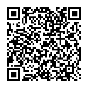 木萦终于欣喜的看到那块软糯的青色东西似乎也没有力气再在液体中游荡了二维码生成