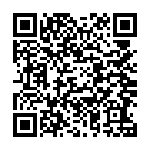 木萦这时已经把灵茶和灵果摆放在了他们面前的桌子上二维码生成