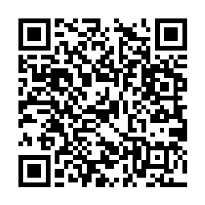 木行宫各殿殿主及一干红莲修士浮现在程傲芳跟前二维码生成