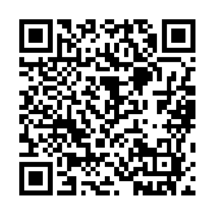 木讷着表情双目呆滞双臂紧贴在身侧在村里排起长队游荡二维码生成