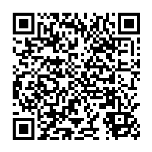 未来只要购买我们的产品都可以使用万能小秘书自动扫描产品批次二维码生成