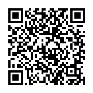 未来的世界将会在罗楼的引导下变得更加的……精彩和狂乱二维码生成