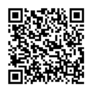 本來五官长得还算端正的脸上顿时出现了一个大大的血手印二维码生成