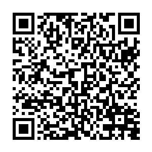 本來极天是很乐意让跟随自己前來的五名散修圣皇出手教训一下烈焰佣兵团二维码生成