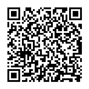 本妃不信前几天的各路刺客有去无回没能让你们好好评估一下定国王府的实力二维码生成