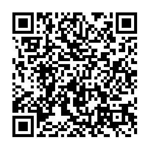 本官给你们时间再想一想……张典吏把王天伤人案卷宗与本官取来二维码生成