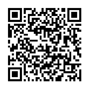 本宫知道不是风寒……你是第一个敢说实话的医官二维码生成