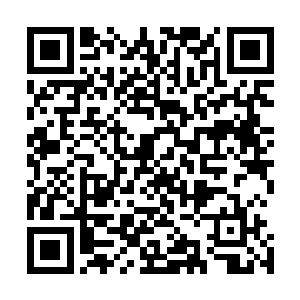 本就已经岌岌可危的庇护所世界形势也必定会变得更加糟糕二维码生成