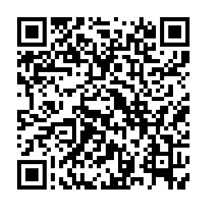 本就被代离连锁攻击导致状态一破的化春三眼蟒再被在兰芷忧一次乘火打劫二维码生成
