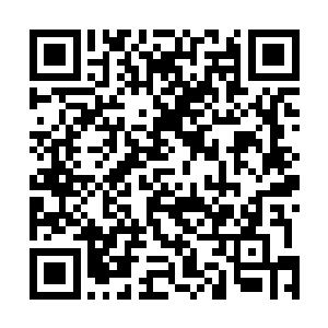本拍卖行将会展出两件十分珍贵的东西当众进行公开拍卖二维码生成